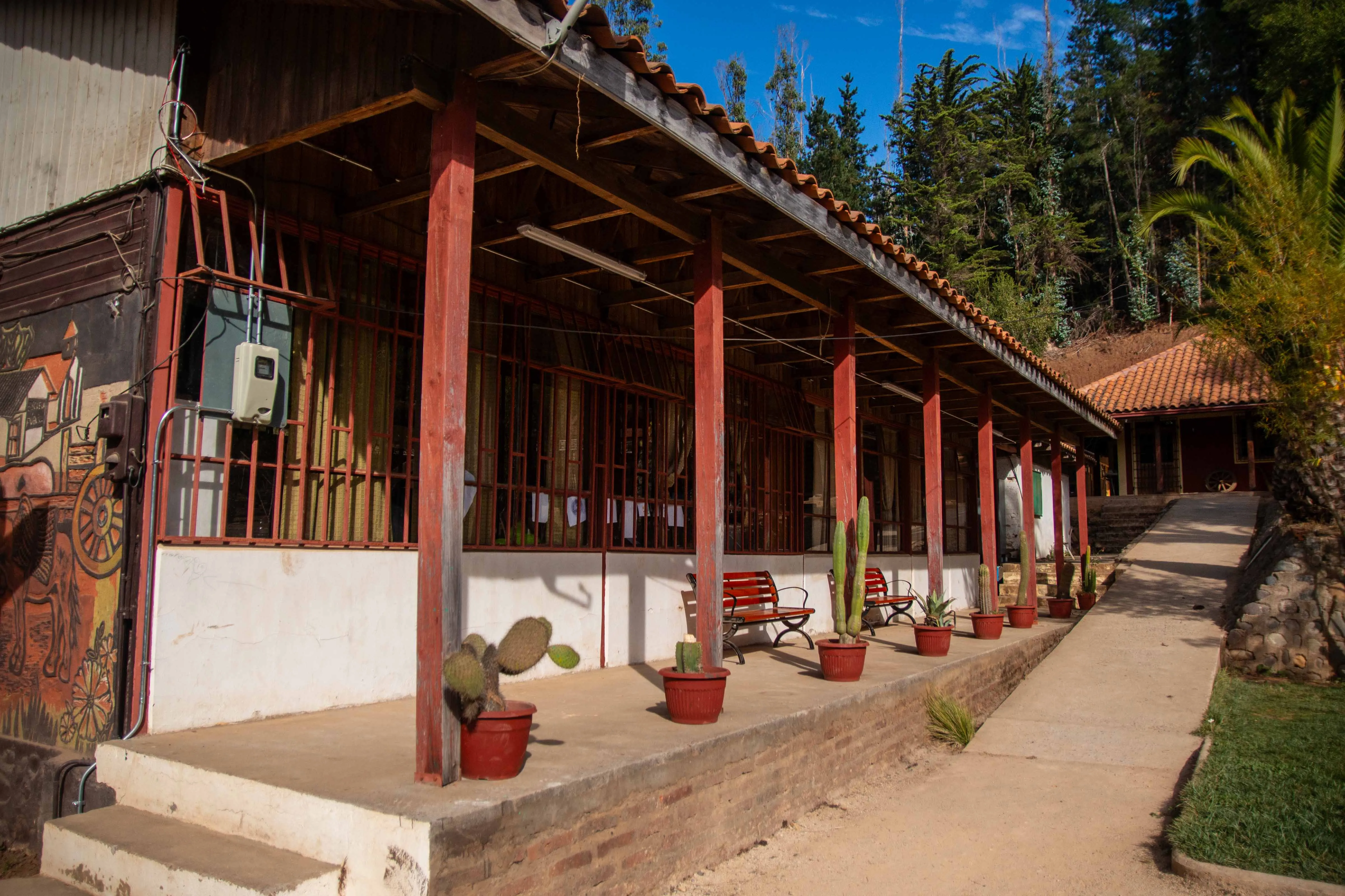 Escuela Ciruelos - Imagen 3