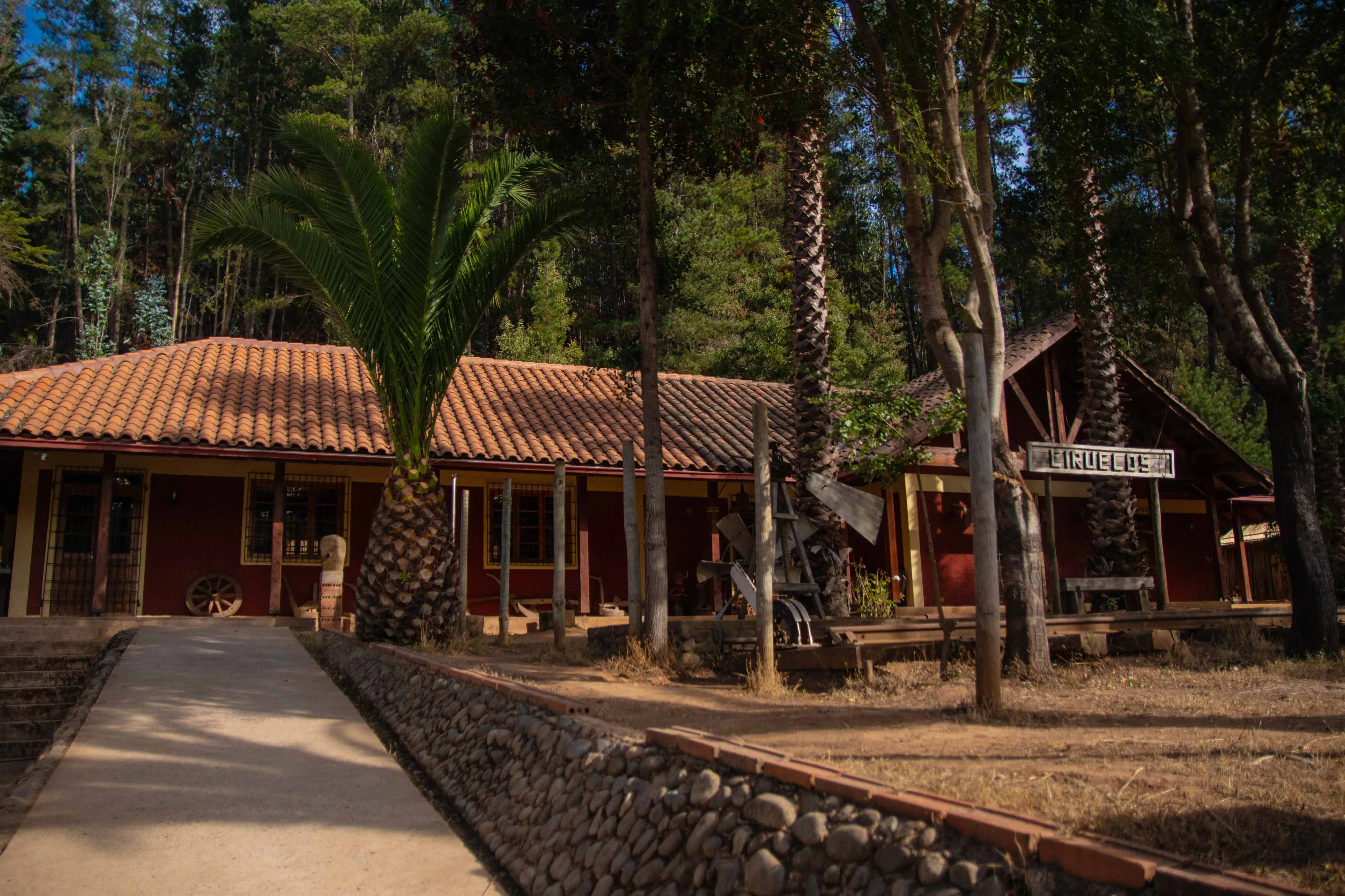 Escuela Ciruelos - Imagen 4