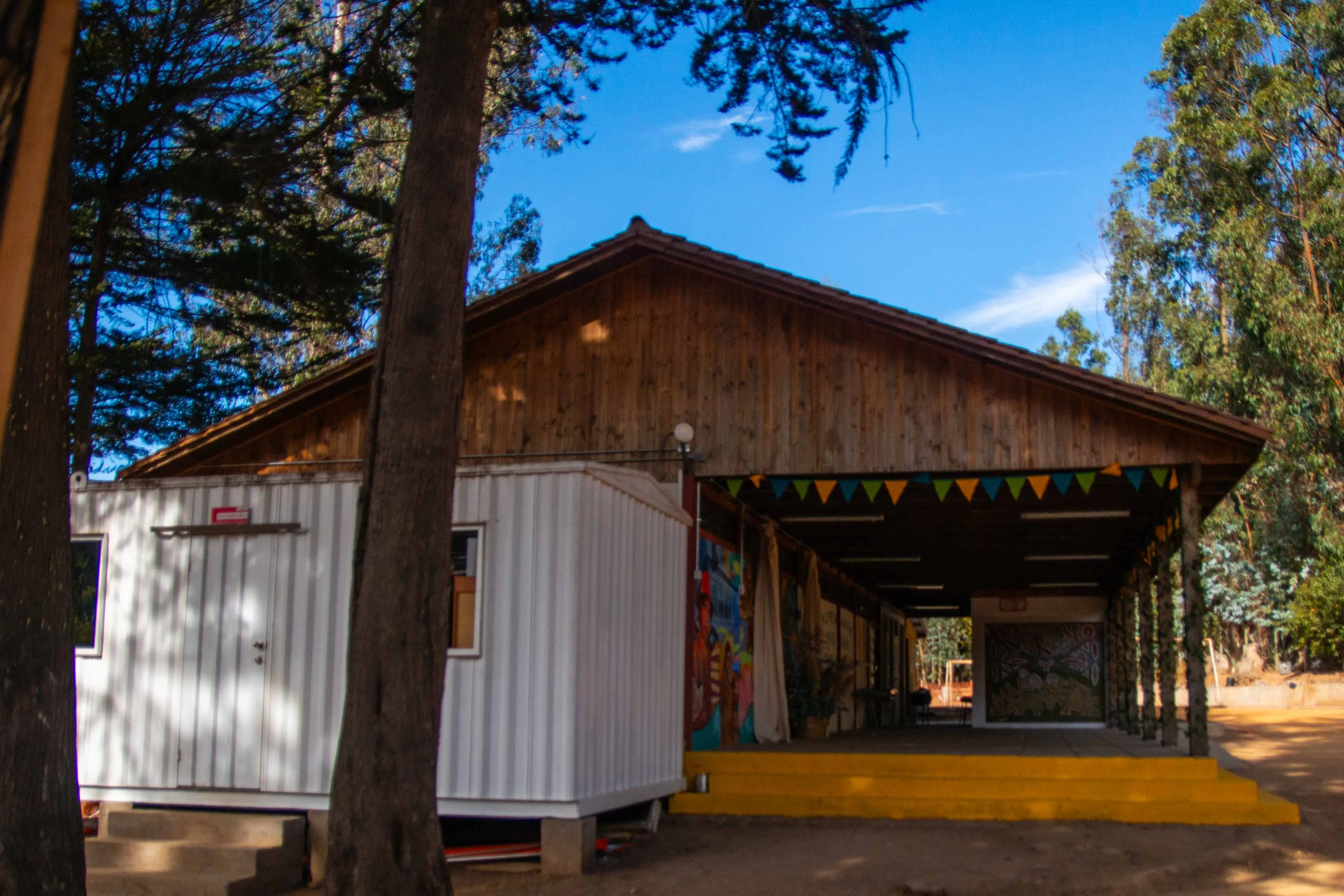 Escuela Ciruelos - Imagen 10