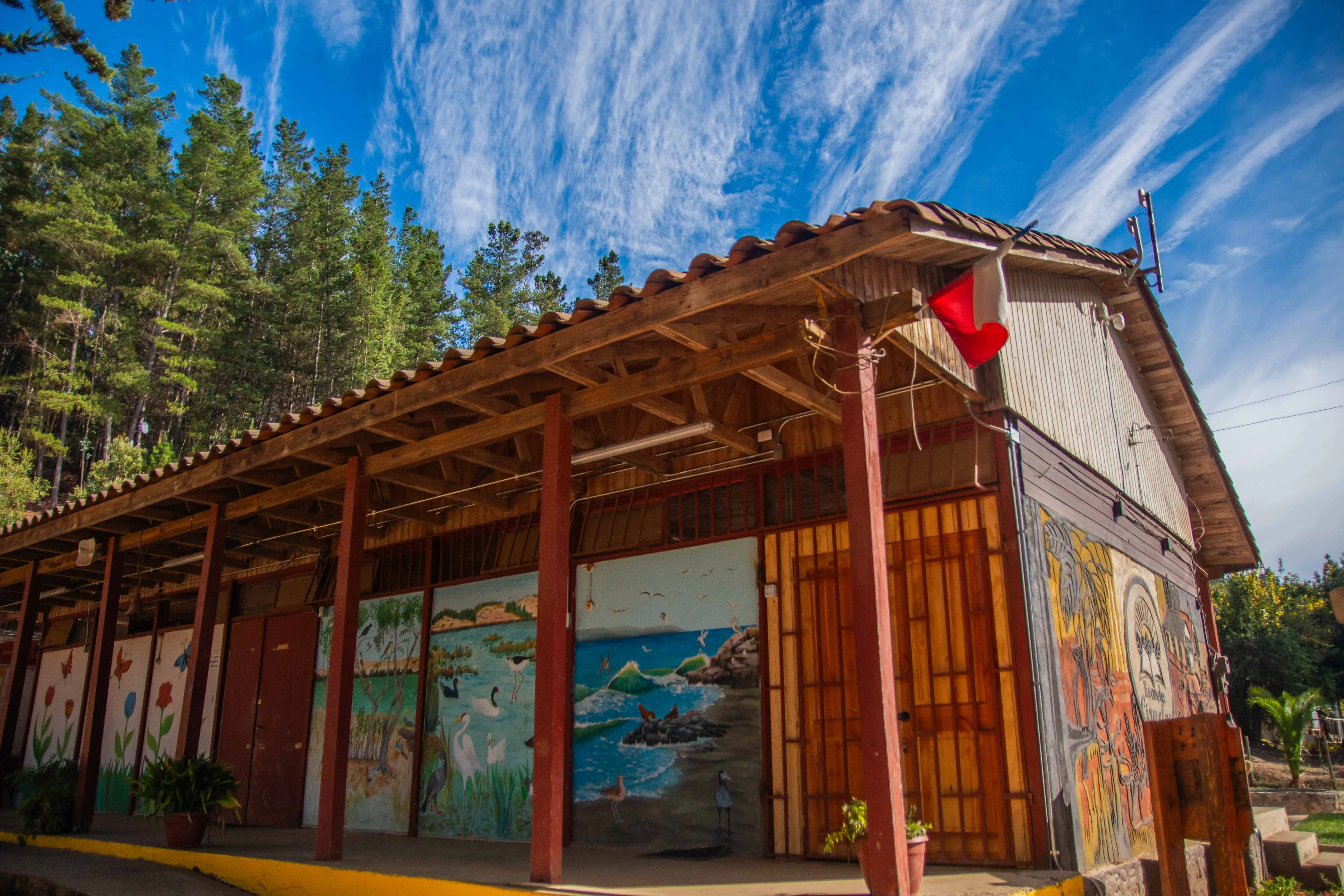 Escuela Ciruelos - Imagen 11