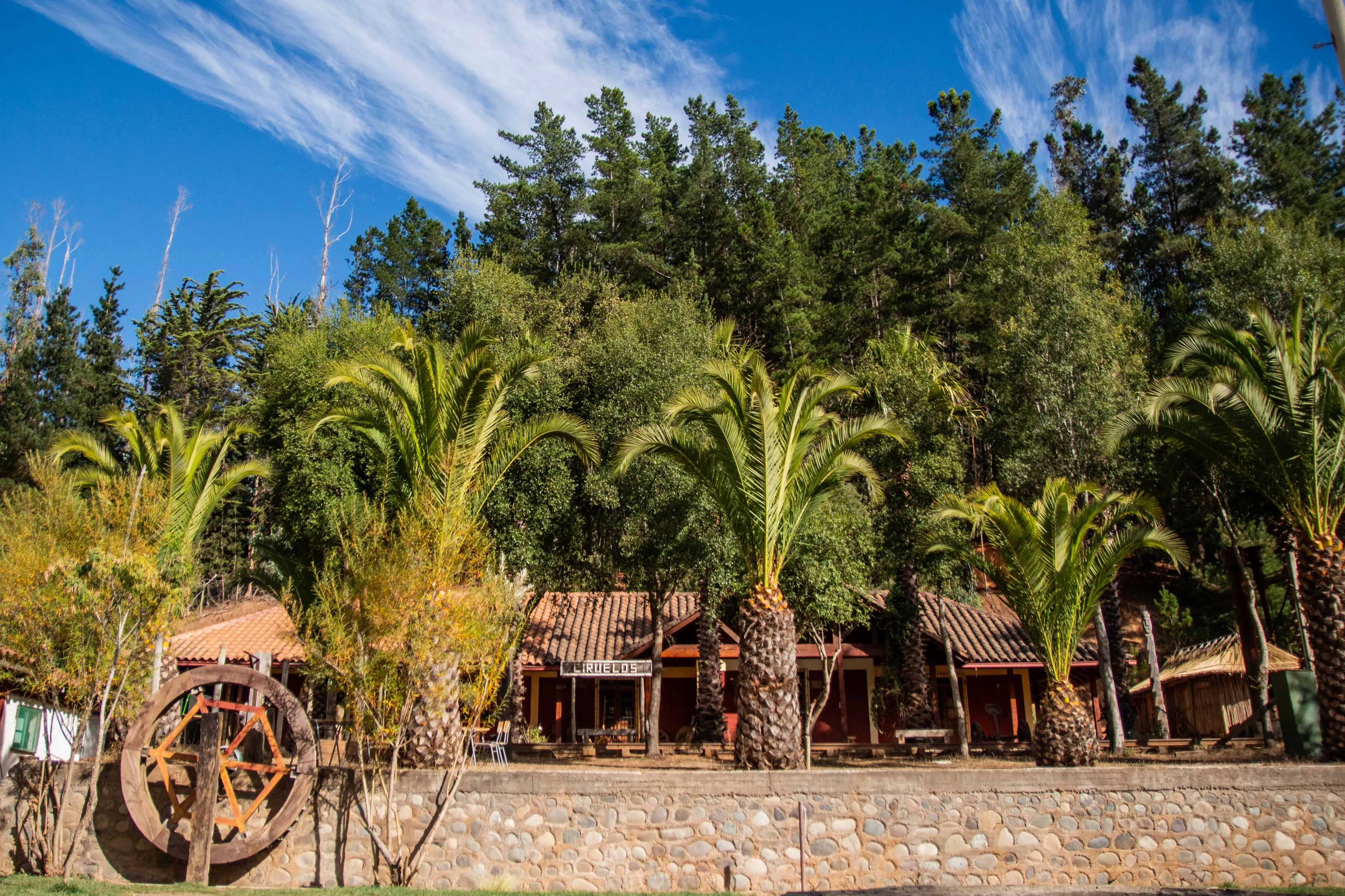 Escuela Ciruelos - Imagen 12